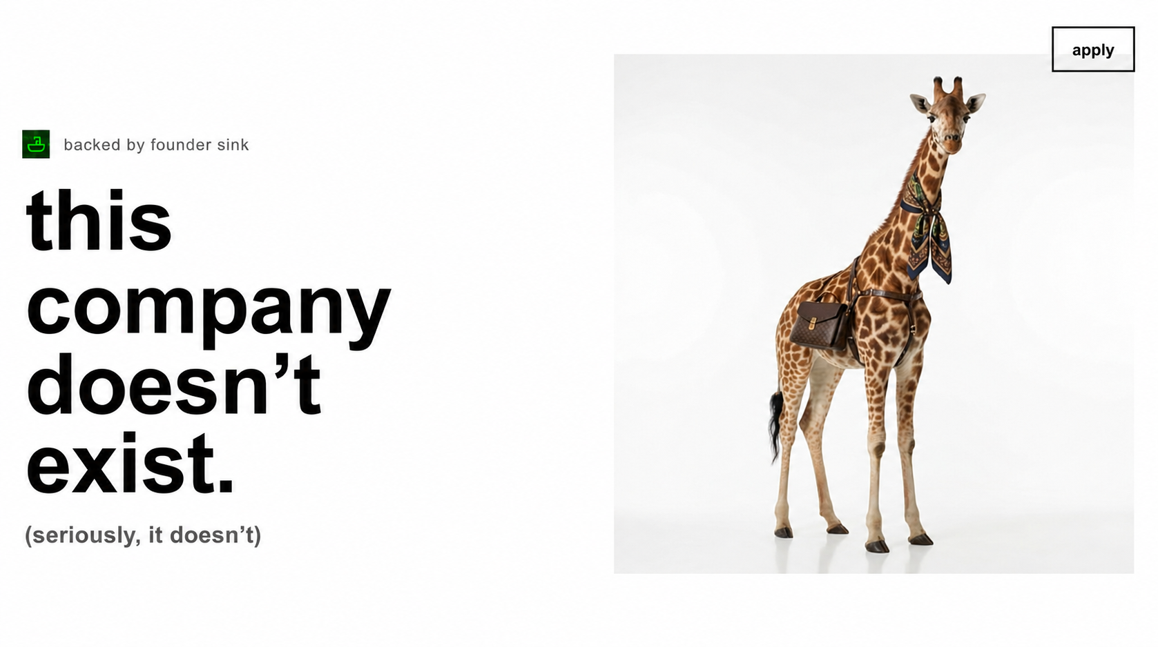 This Company Doesn't Exist thumbnail